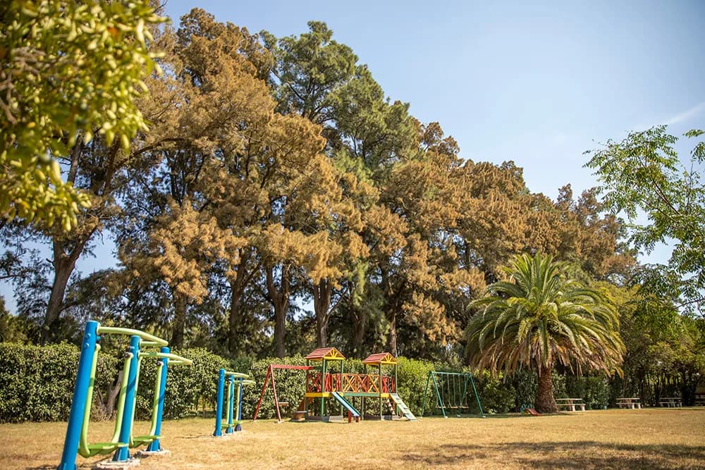 Juegos para niños